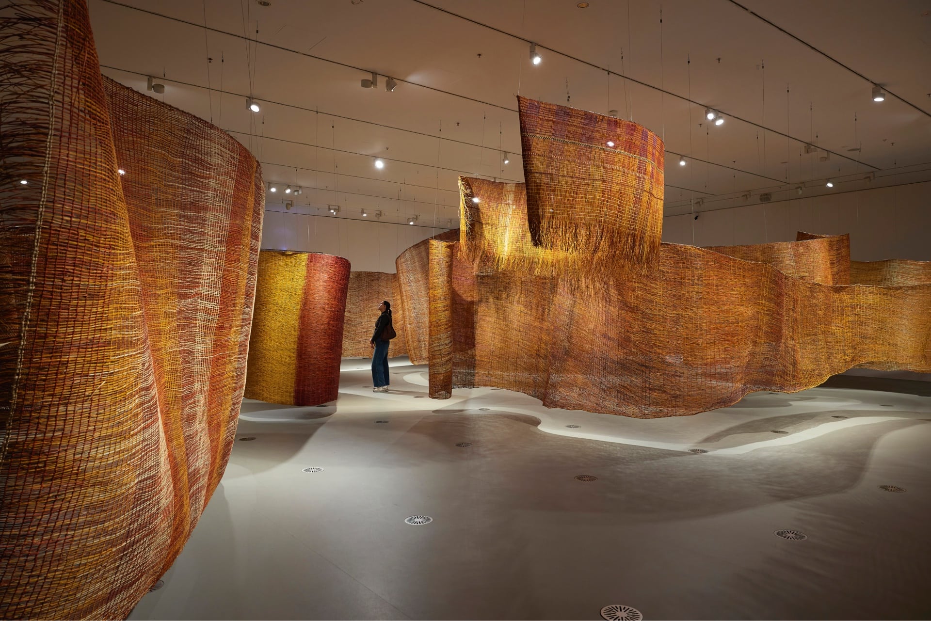 The Stars We Do Not See: Australian Indigenous Art