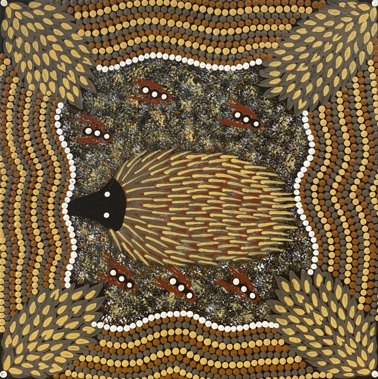 Echidna