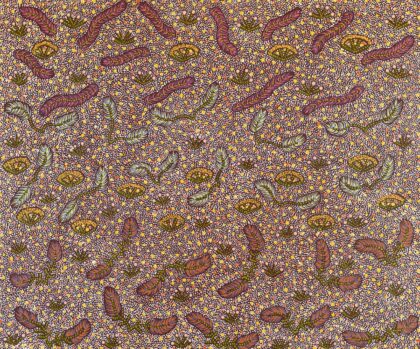 My Country - Alana Ngwarraye Holmes - Painting - Alana  Ngwarraye Holmes
