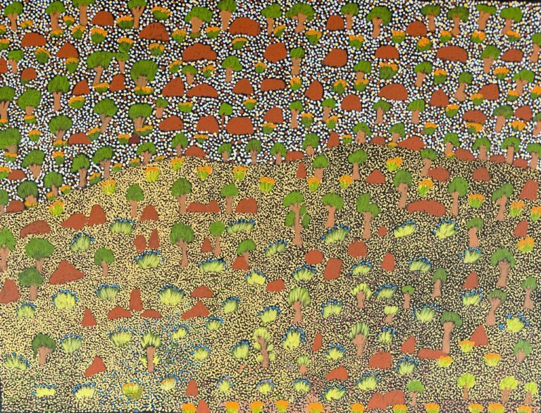 View Of Country - Painting - Margaret Ngwarraye Long