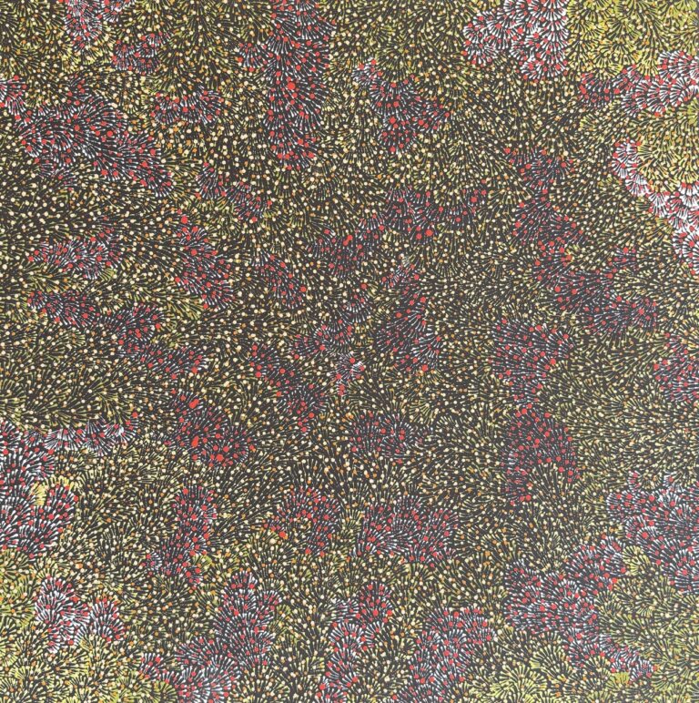 My Hunting Country - Yvonne Ngwarraye Bonney - Painting - Yvonne Ngwarraye  Bonney