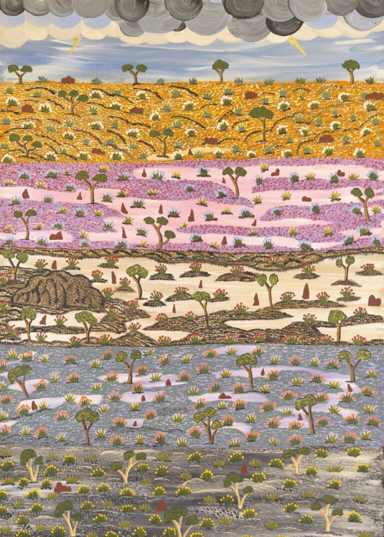 Heather Pitjara Corbett - Bush Medicine Country - Painting - Heather Pitjara Corbett