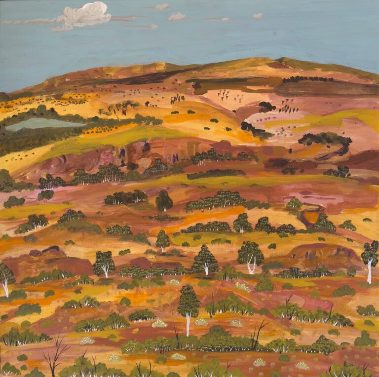 Elizabeth Ngwarraye Bonney - My Grandmothers Country - Painting - Elizabeth Ngwarraye  Bonney