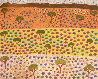 Diane Kemarre Ross - My Country - Painting - Diane Kemarre Ross