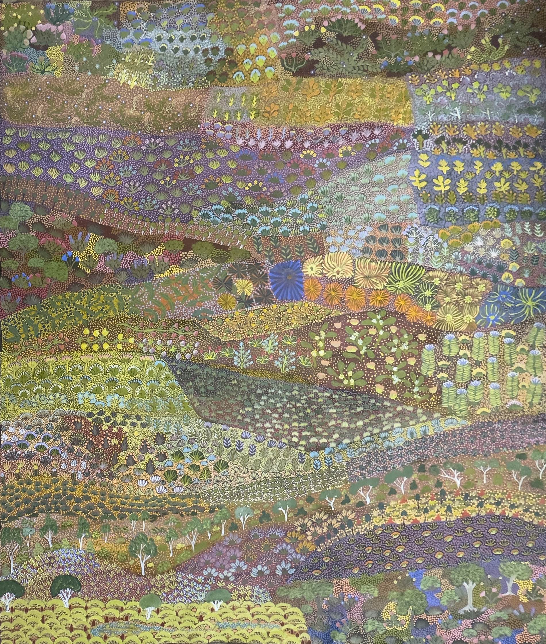 RLKEYEL Artists of Ampilatwatja