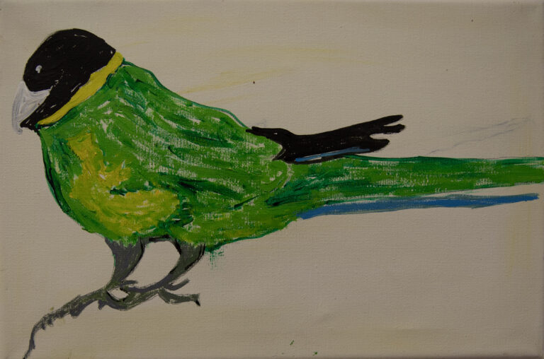 Jeffrey's Birds - Paintings - Jeffrey  Lewis