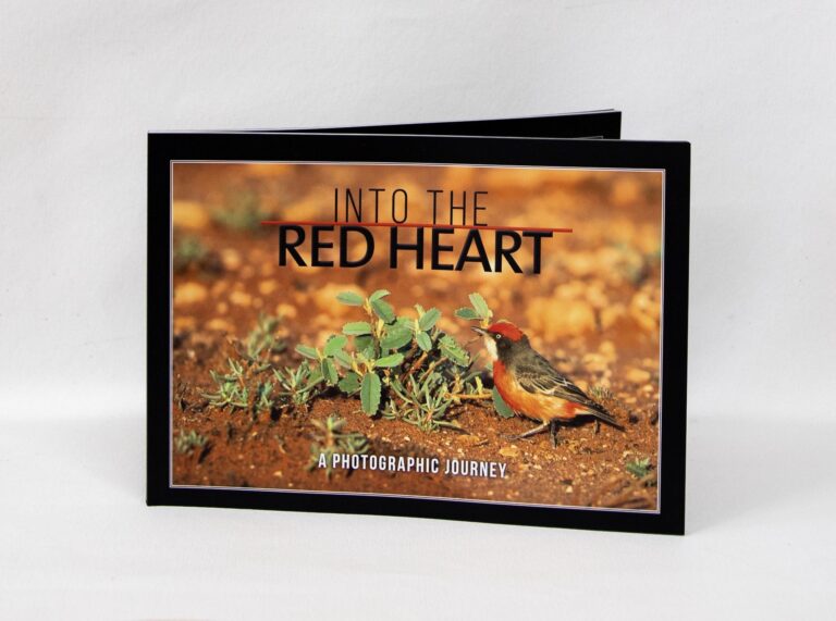 Into the Red Heart: A Photographic Journey -  -