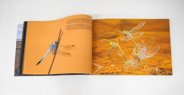Into the Red Heart: A Photographic Journey -  -