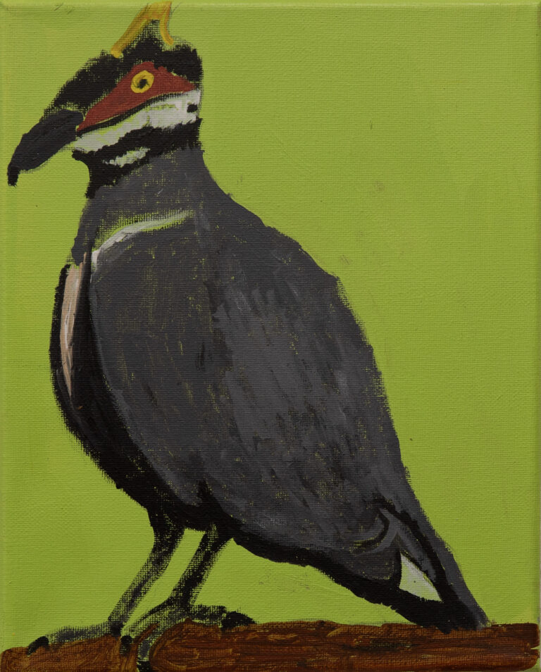 Jeffrey's Birds - Paintings - Jeffrey  Lewis