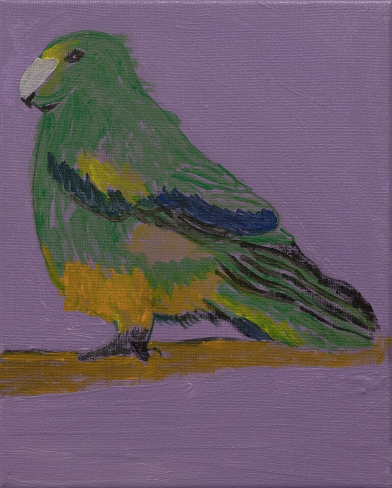 Jeffrey's Birds - Paintings - Jeffrey  Lewis