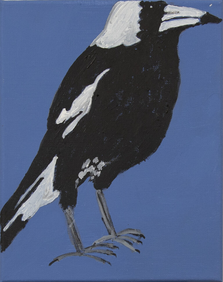 Jeffrey's Birds - Paintings - Jeffrey  Lewis