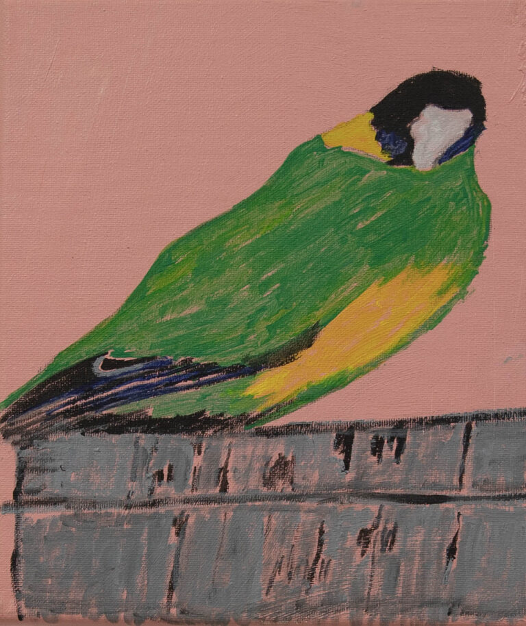Jeffrey's Birds - Paintings - Jeffrey  Lewis