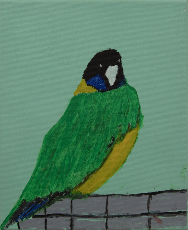 Jeffrey's Birds - Paintings - Jeffrey  Lewis