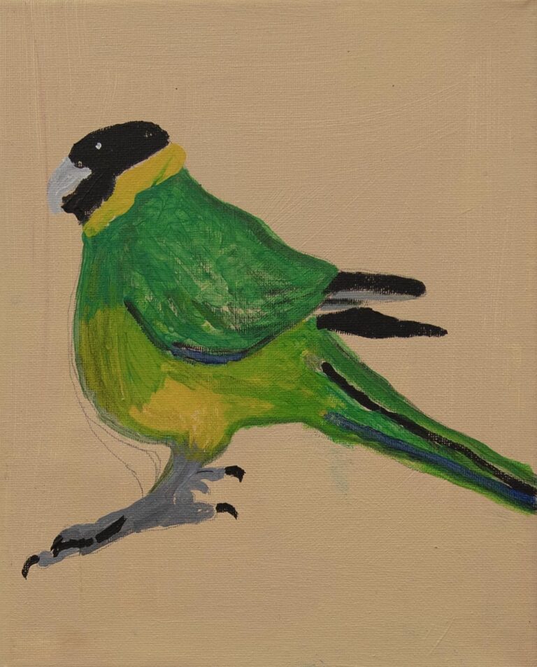 Jeffrey's Birds - Paintings - Jeffrey  Lewis