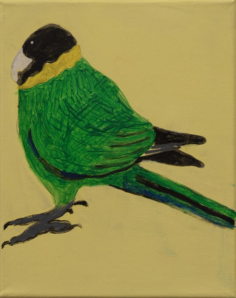 Jeffrey's Birds - Paintings - Jeffrey  Lewis
