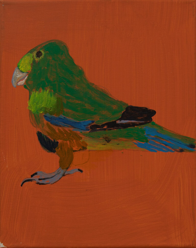 Jeffrey's Birds - Paintings - Jeffrey  Lewis