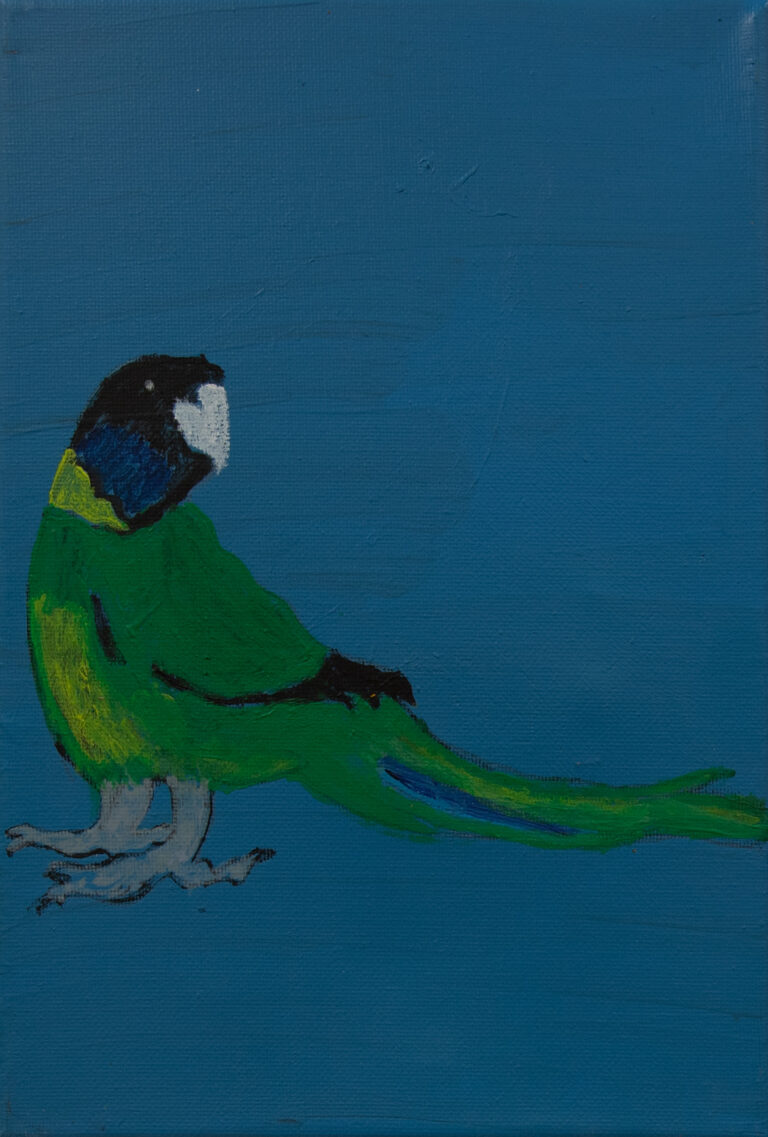 Jeffrey's Birds - Paintings - Jeffrey  Lewis