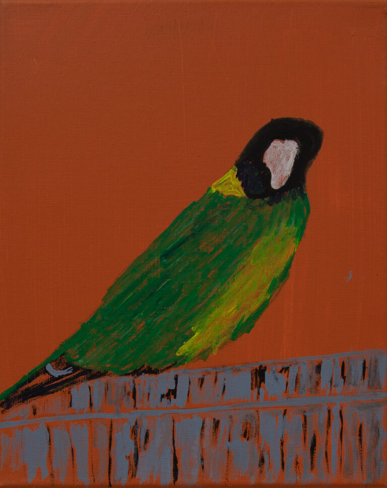 Jeffrey's Birds - Paintings - Jeffrey  Lewis