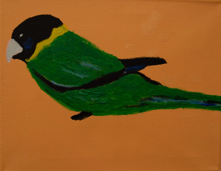 Jeffrey's Birds - Paintings - Jeffrey  Lewis
