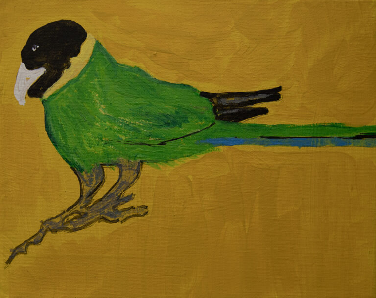 Jeffrey's Birds - Paintings - Jeffrey  Lewis
