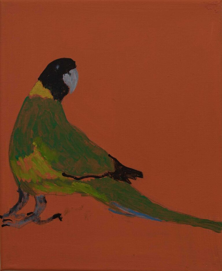 Jeffrey's Birds - Paintings - Jeffrey  Lewis