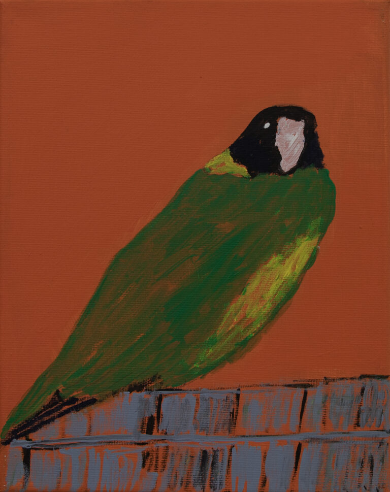 Jeffrey's Birds - Paintings - Jeffrey  Lewis