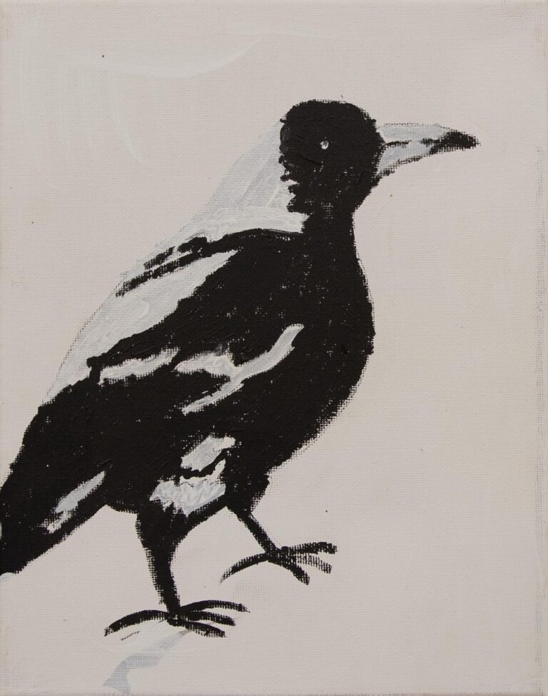 Jeffrey's Birds - Paintings - Jeffrey  Lewis