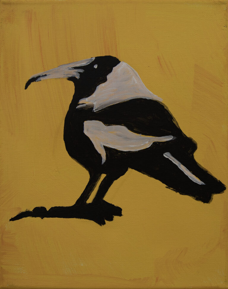 Jeffrey's Birds - Paintings - Jeffrey  Lewis