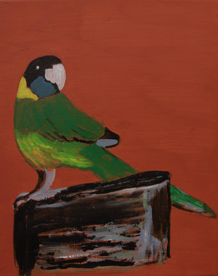 Jeffrey's Birds - Paintings - Jeffrey  Lewis