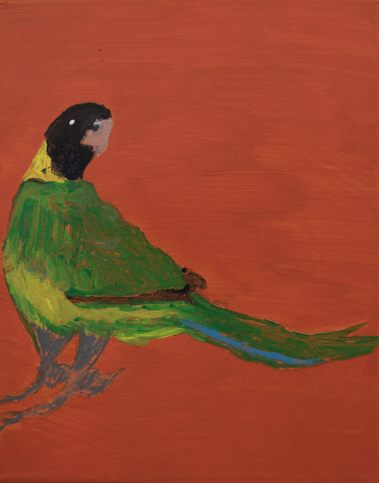 Jeffrey's Birds - Paintings - Jeffrey  Lewis