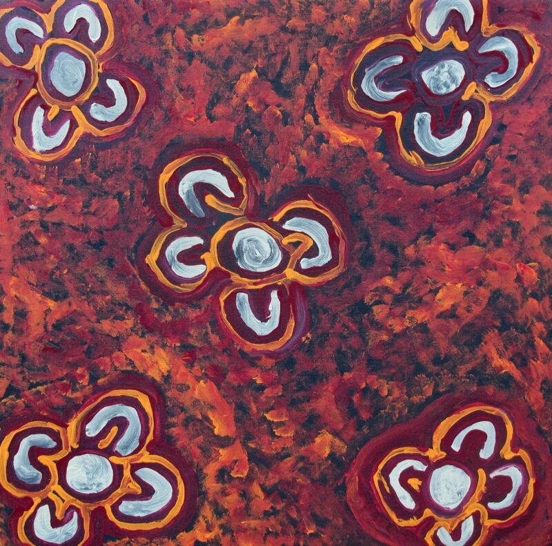 Women’s dreaming: Napangardi, Napanangka-kurlangu - Painting - Biddy Timms