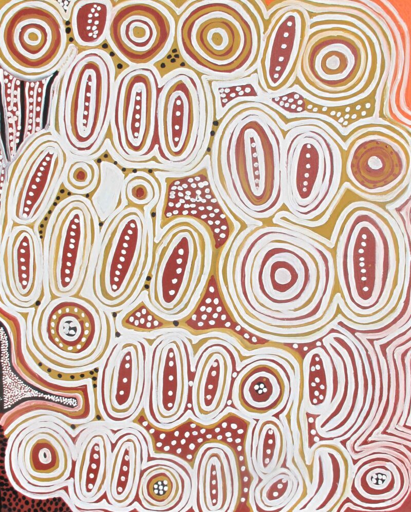 Seed Dreaming - Ngurlu Jukurrpa; Napurrurla, Nakamarra-kurlangu - Painting - Rosie Tasman
