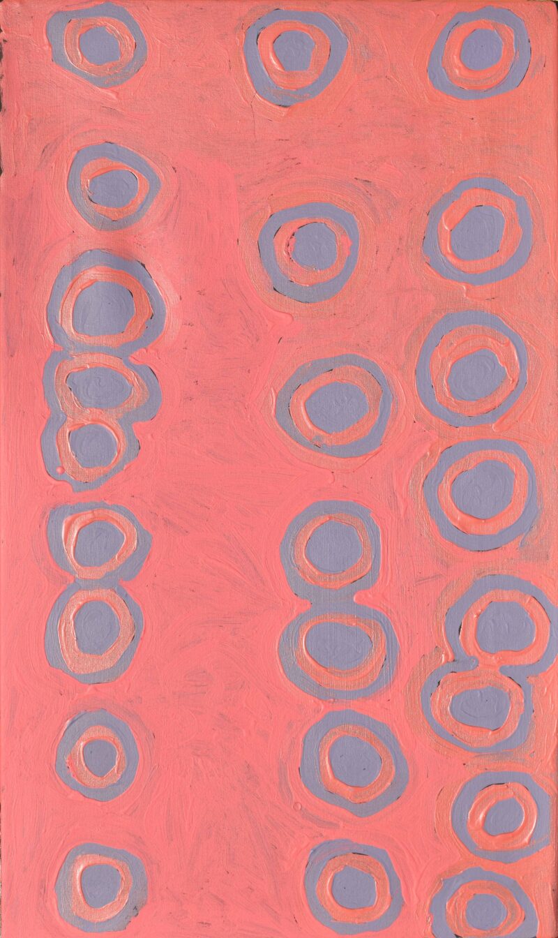 Bush Mushroom Dreaming - Puluntarri - Painting - Biddy Timms