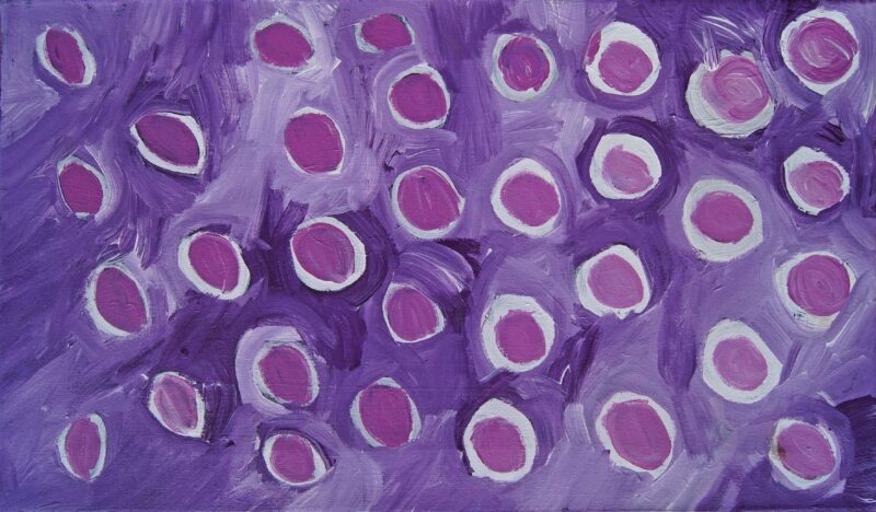 Bush Tomato Dreaming - Ngayaki Jukurrpa - Painting - Ursula Napangardi Marks