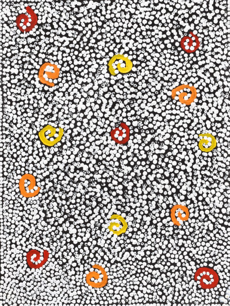 Bush Flower Dreaming - Jinjirla Jukurrpa - Painting - Miranda Cook