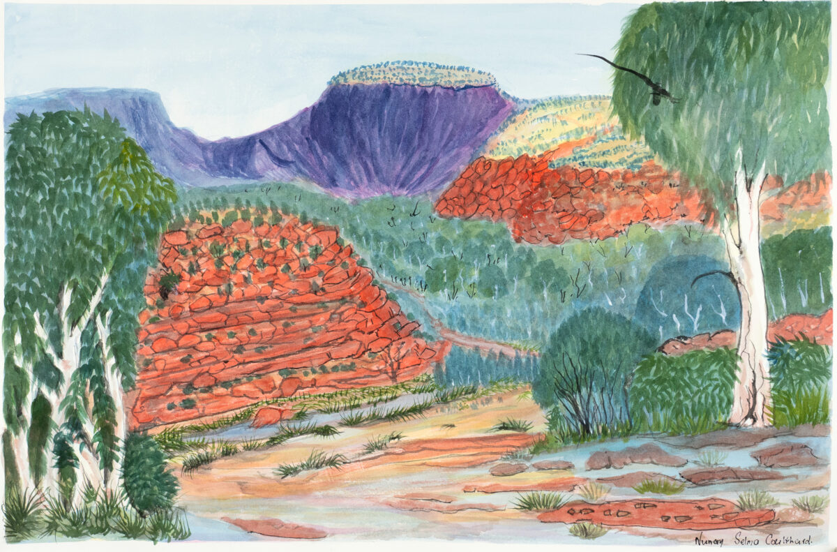 Ljalkaindirma (Mt Hermannsburg), NT - Painting - Selma Coulthard