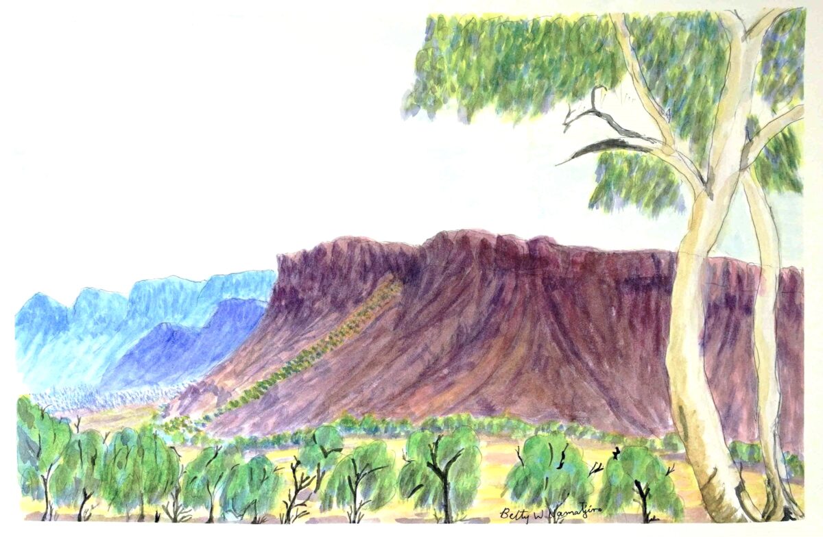 Tjoritja (West MacDonnell Ranges), NT - Painting - Betty Namatjira Wheeler