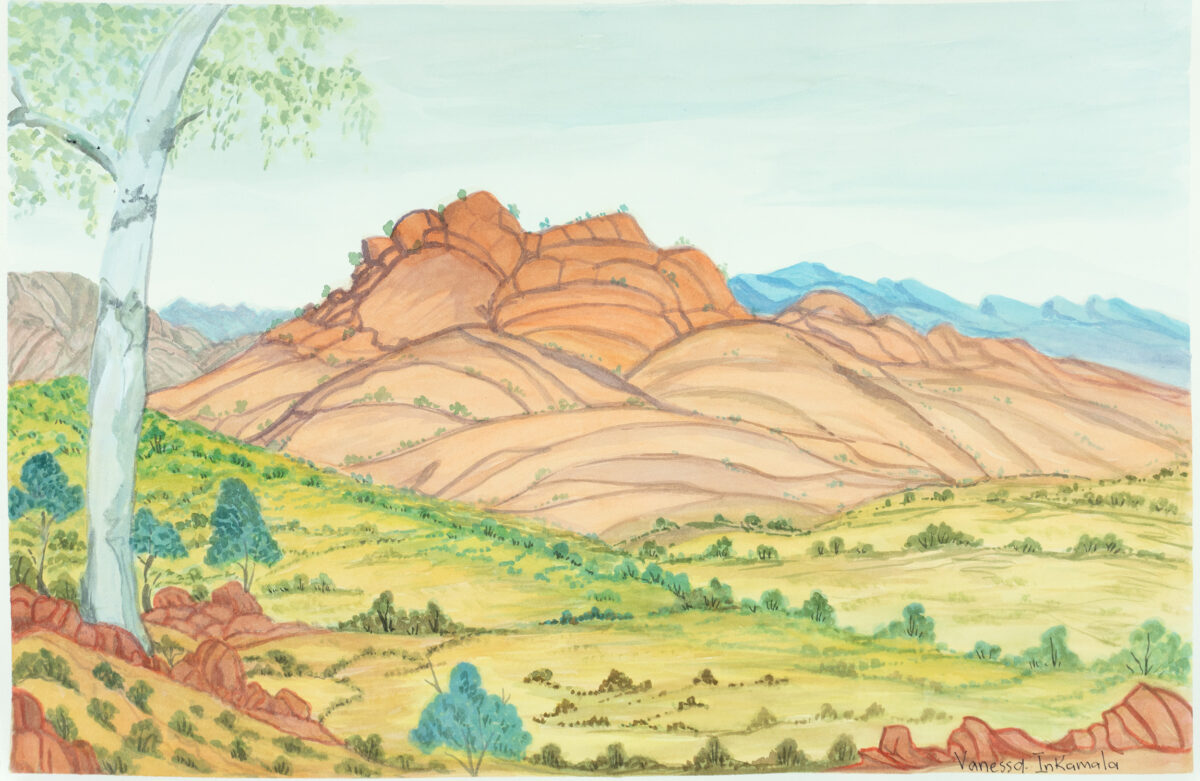 Tjoritja (West MacDonnell Ranges), NT - Painting - Vanessa Inkamala