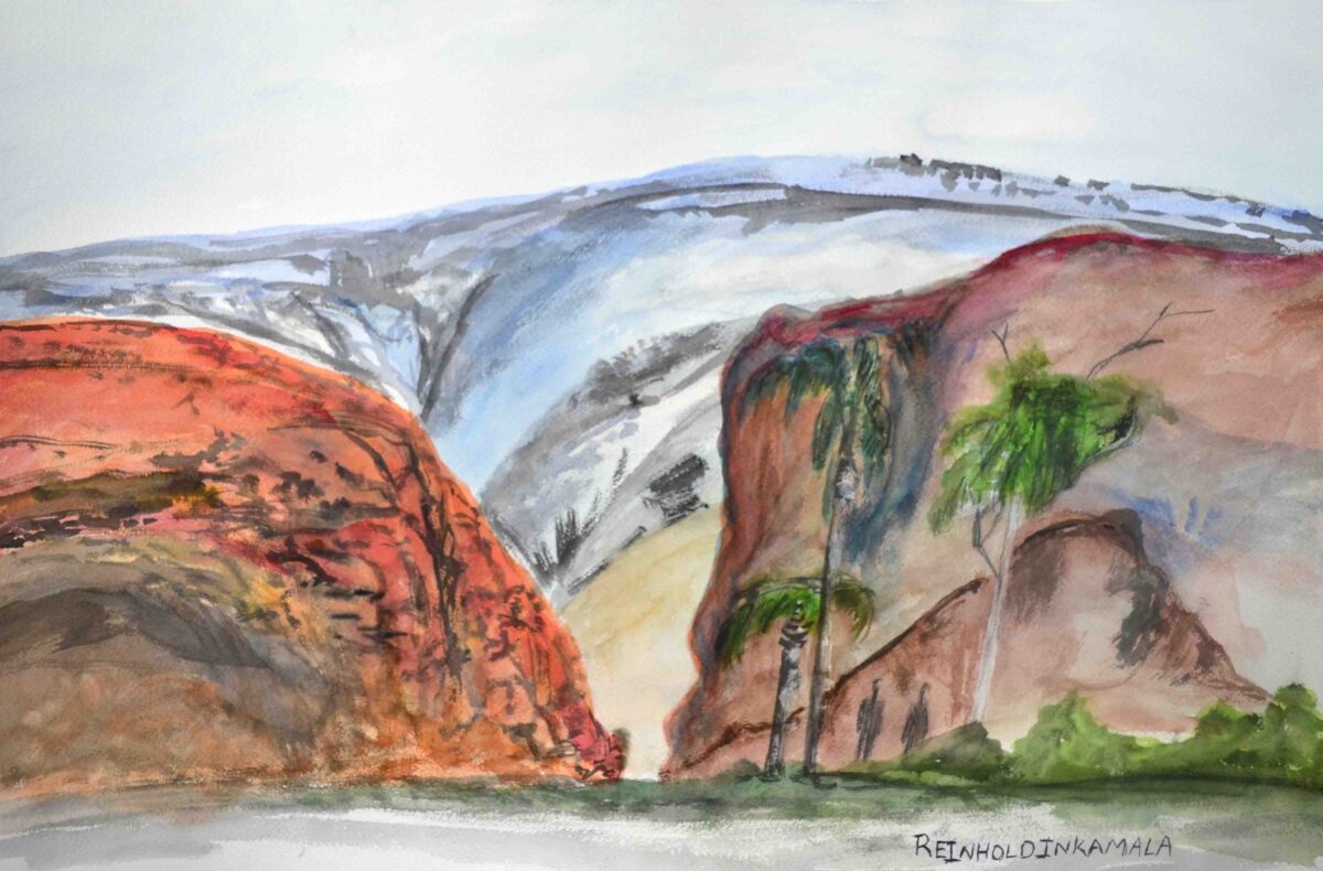 Palm Valley, NT - Painting - Reinhold Inkamala