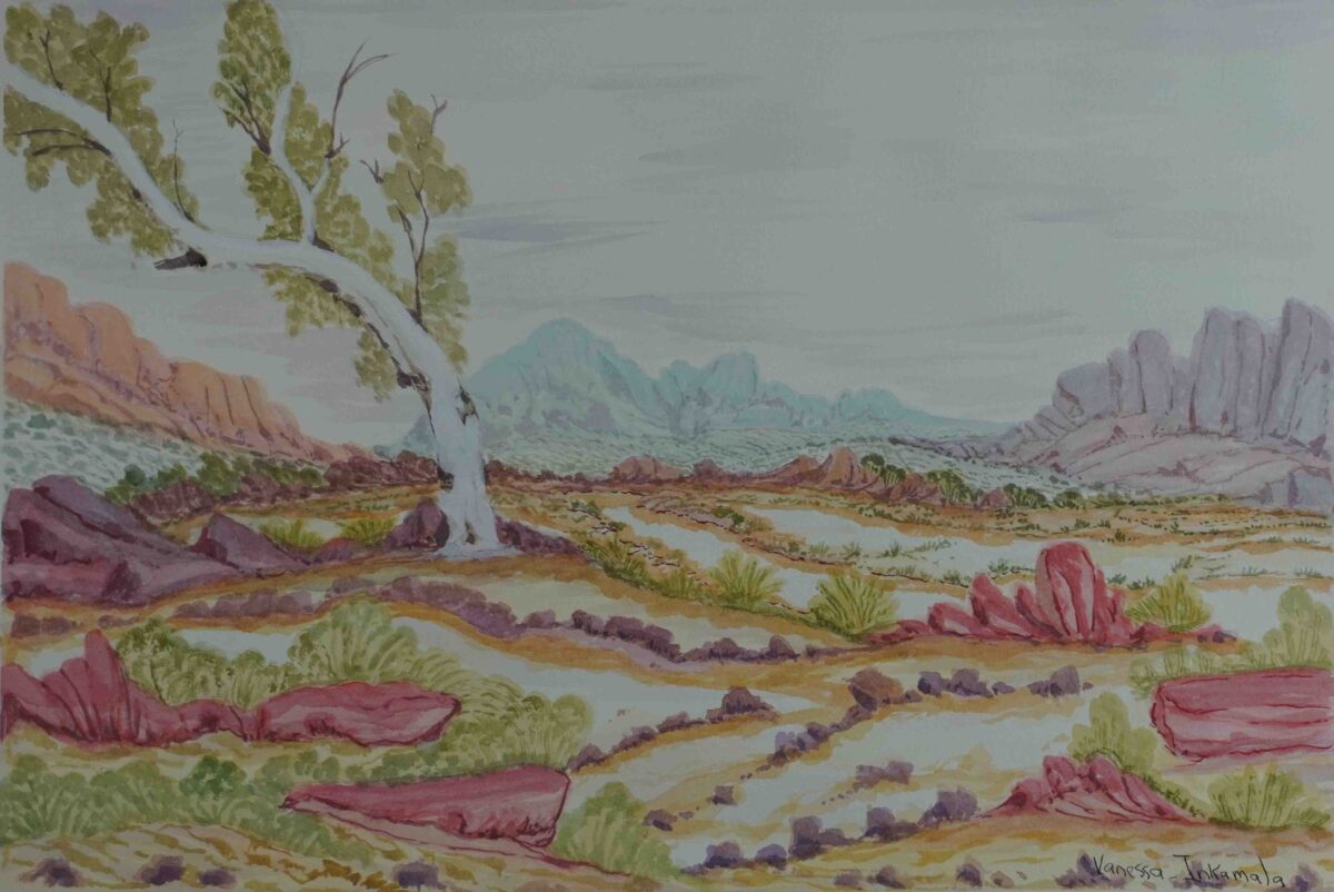 Tjoritja (West MacDonnell Ranges),NT - Painting - Vanessa Inkamala